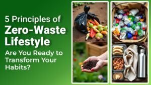 5 Principles of Zero-Waste Lifestyle: Are You Ready to Transform Your Habits?