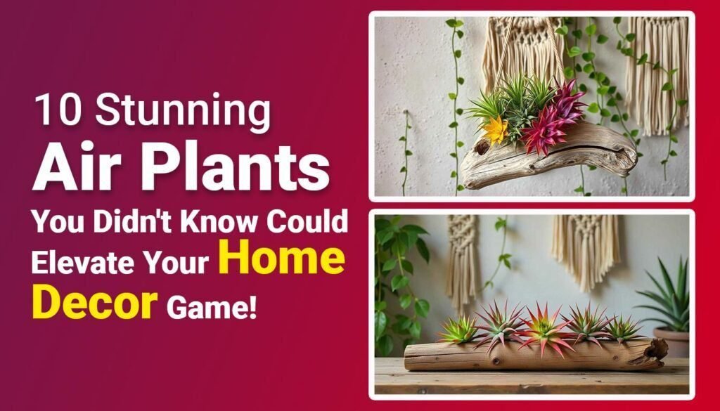 10 Stunning Air Plants You Didn't Know Could Elevate Your Home Decor Game!