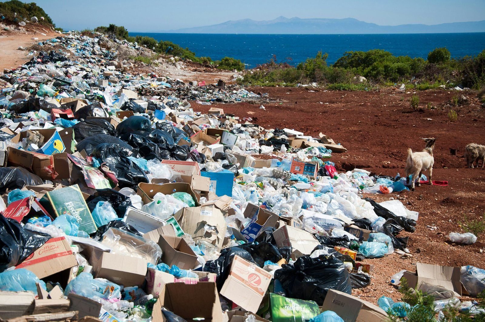 Sustainable Waste Management