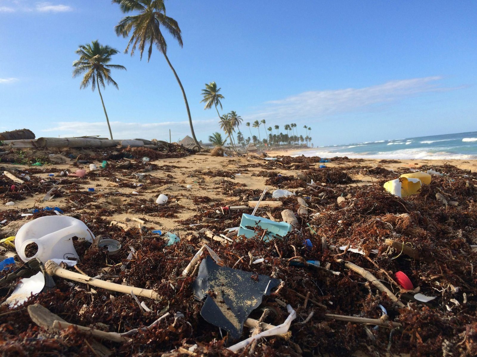 Zero Waste Lifestyle Hacks: How I Cut My Trash in Half and You Can Too!