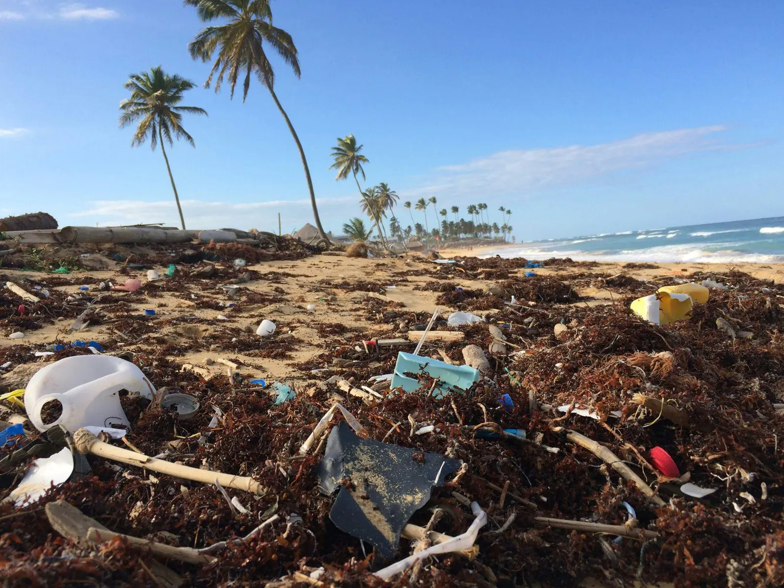 Zero Waste Lifestyle Hacks: How I Cut My Trash in Half and You Can Too!
