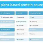 Plant-Based Protein Sources Chart
