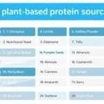 Plant-Based Protein Sources Chart